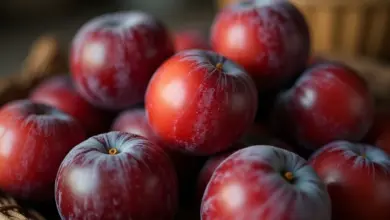 švestky ve vlastní šťávě recept na zavaření – Recept na zavaření švestek ve vlastní šťávě bez cukru