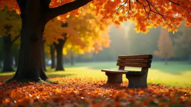 october měsíc co přináší – October v roce: význam, tradice a co přináší říjen