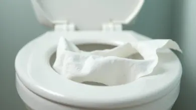 ucpaný záchod jak vyřešit problém - Jak vyřešit problém s ucpaným záchodem: Praktický návod
