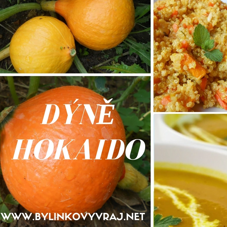 Čtyři obrázky dýně hokaido: čerstvá, vařená a polévka.