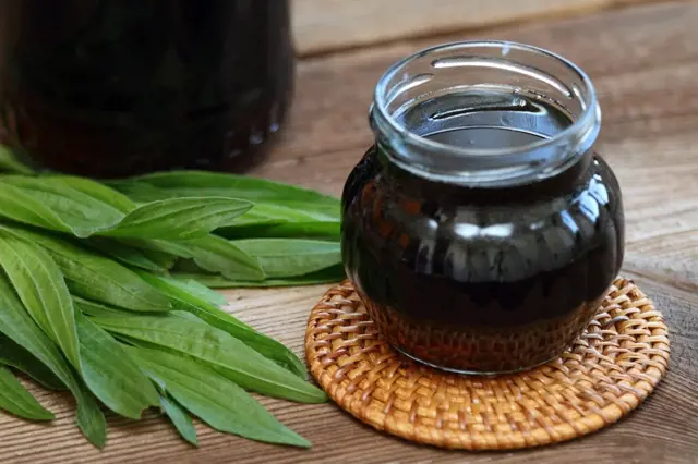 Jitrocelový sirup v sklenici vedle čerstvých listů jitrocele