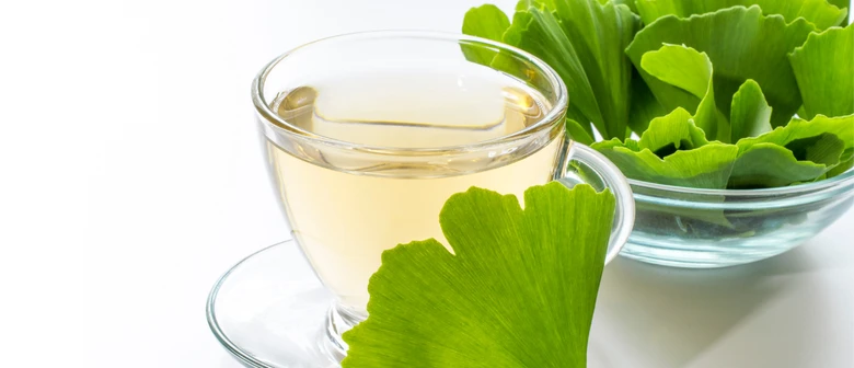 Čaj z listů gingko biloba s čerstvými zelenými lístky
