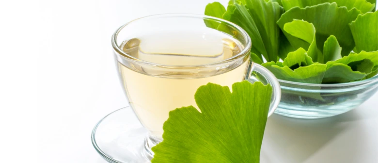 Sklenička čaje z listů ginkgo biloba s čerstvými listy