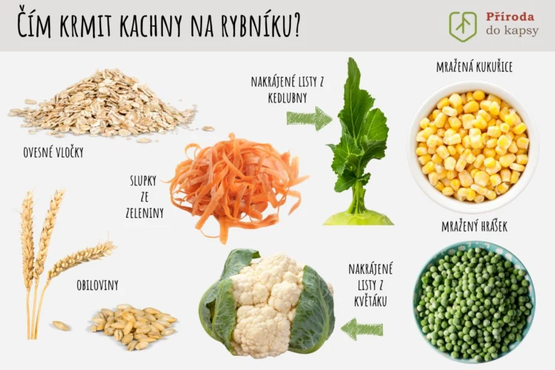 Ovesné vločky, slupky ze zeleniny, obiloviny, nakrájené listy z kedlubny a květáku, mražená kukuřice a hrášek pro krmení kachen