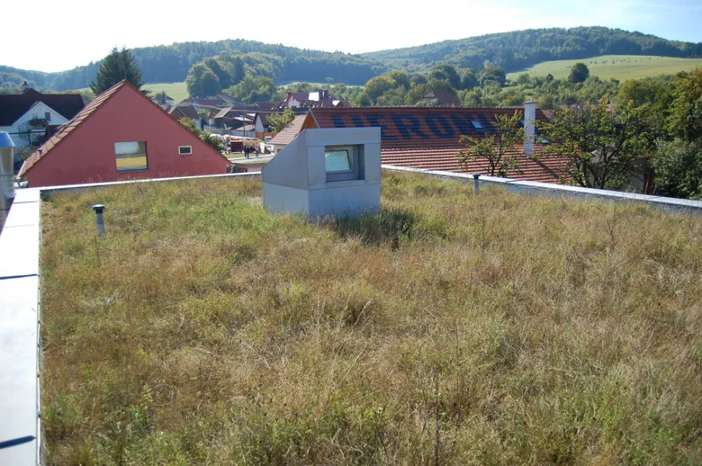 Zelená střecha s trávou na pozadí vesnice