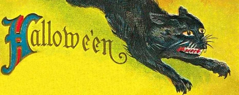 Černá kočka v tradičním halloweenovém kontextu s nápisem Hallowe'en.