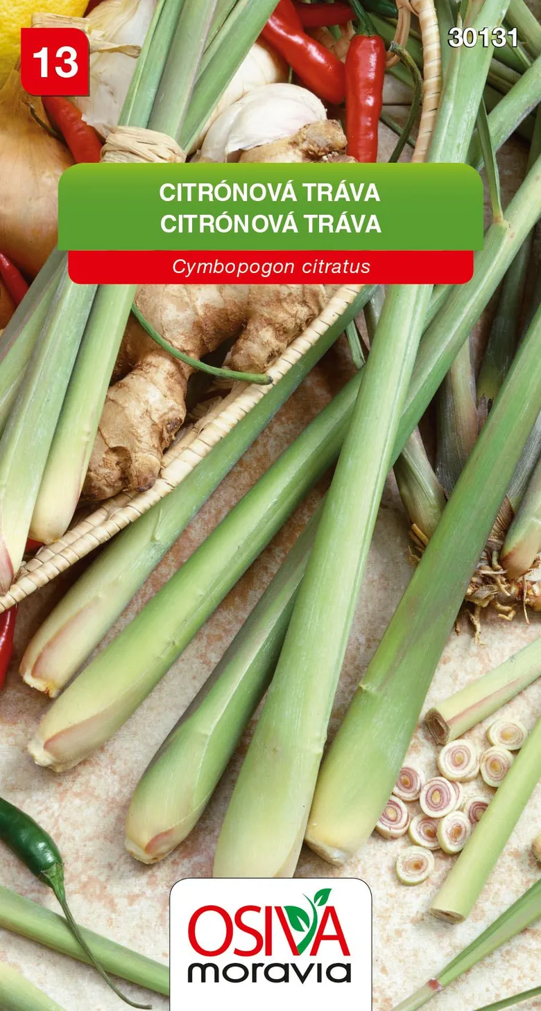 Čerstvá citronová tráva s kořením a botanickým názvem.