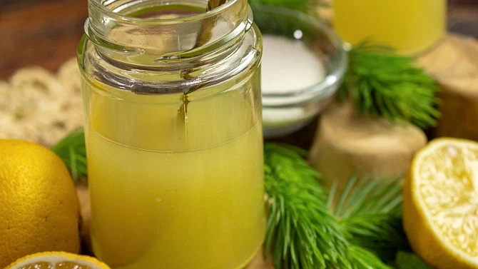 Domácí smrkový sirup v sklenici s čerstvými smrkovými šiškami a citrony