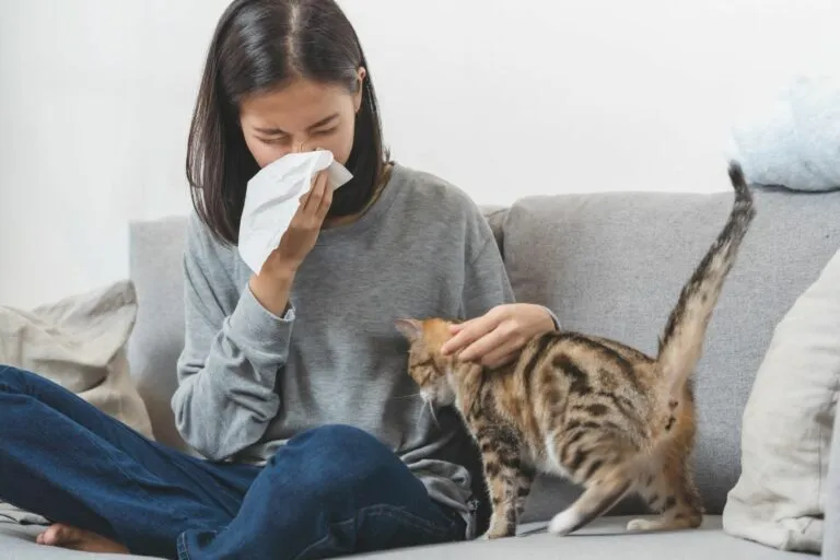 Žena s alergií na kočku si utírá nos, zatímco hladí kočku