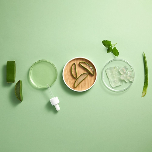 Aloevera listy, žel, kapátko a led na zeleném pozadí