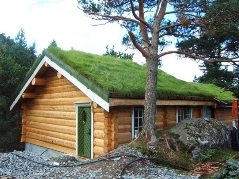 Dřevěný domek s trávníkovou střechou v přírodě