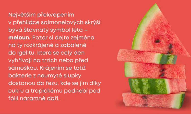 Meloun s bakteriemi – riziko salmonely v létě