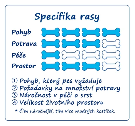 Infografika o potřebách plemene: pohyb, strava, péče, prostor