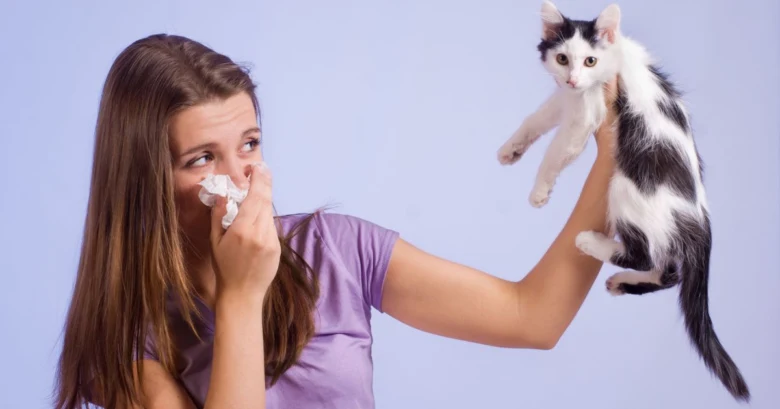 Žena s alergií na kočku kýchá při držení koťátka