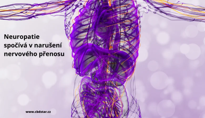 Ilustrace nervové soustavy při neuropatii s narušeným přenosem