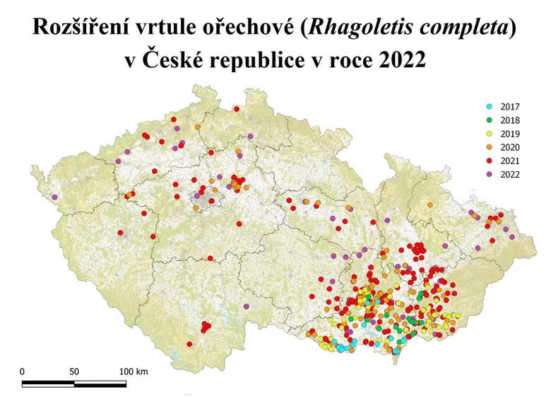 Mapa rozšíření vrtule ořechové v ČR za roky 2017-2022