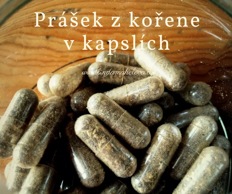 Kapsle s práškem z kořene pampelišky