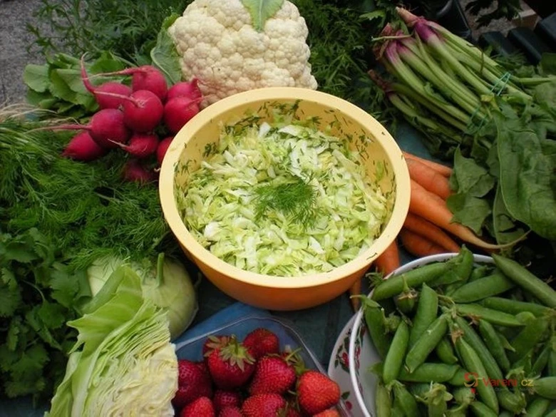 Čerstvá zelenina pro přípravu salátu coleslaw